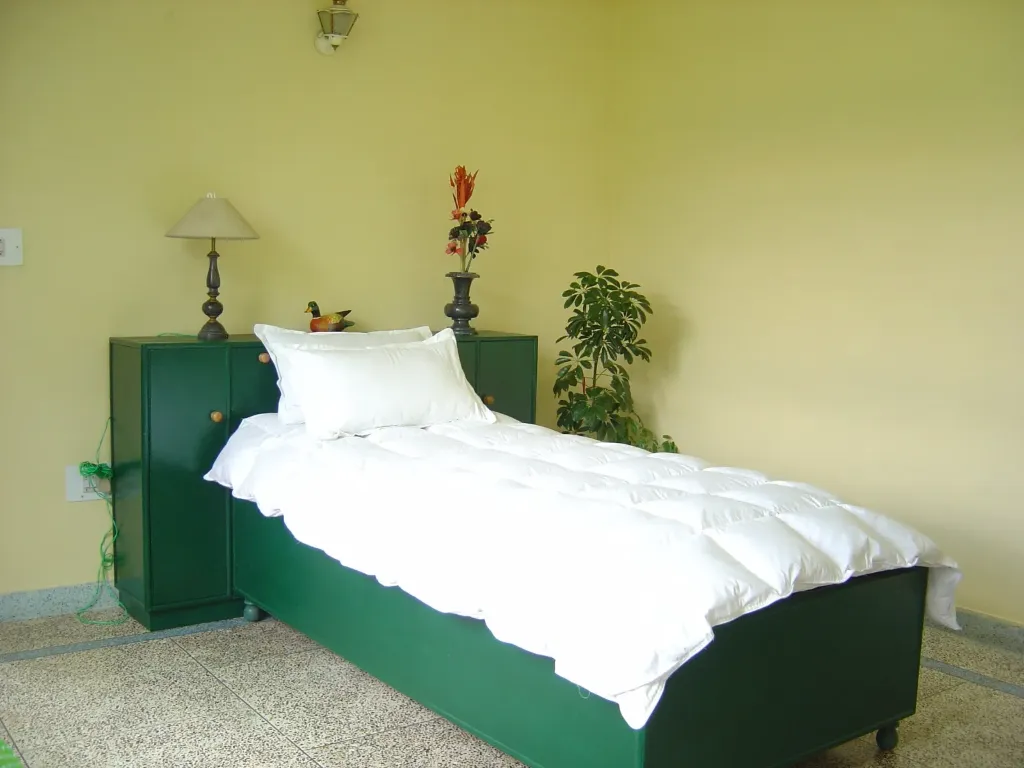 DUCK DOWN RAJAI
60"X90"