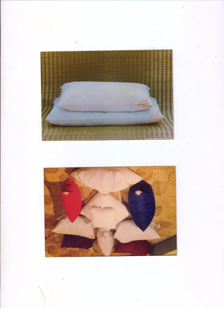 DOWN CUSHION 18"X18"